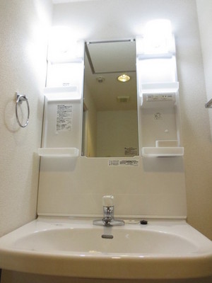 Washroom. Independent wash basin (other Room No. same floor plan reference photograph)