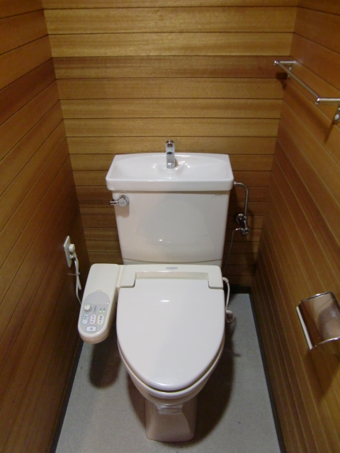 Toilet