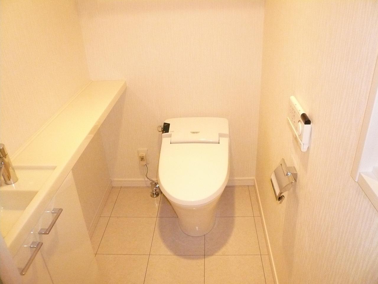 Toilet