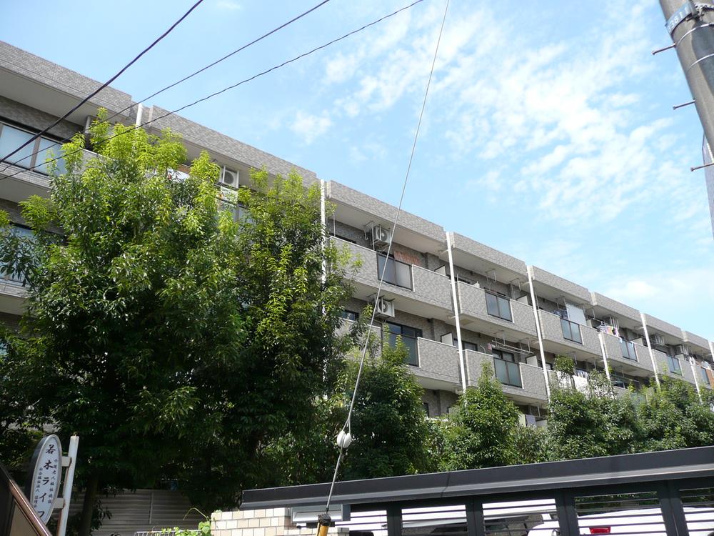 Local appearance photo. appearance