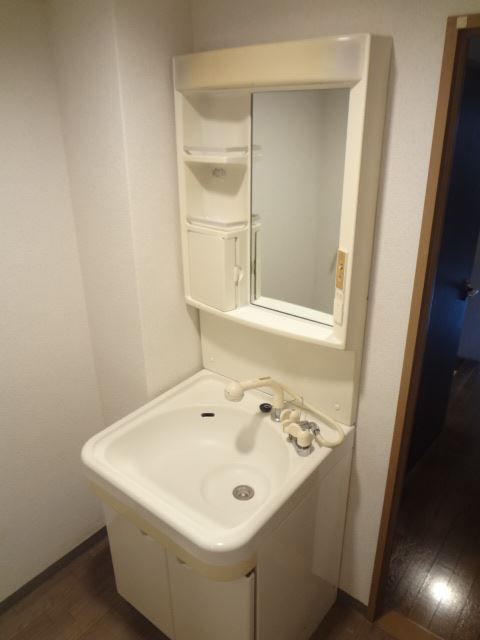 Washroom. Shampoo dresser