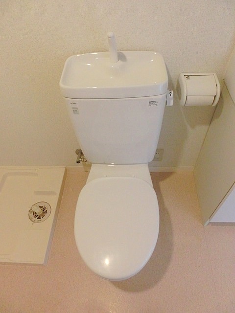 Toilet. Toilet