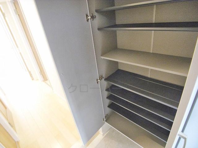 Entrance. Footwear purse