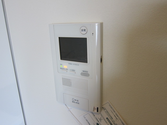 Security. Intercom with TV monitor