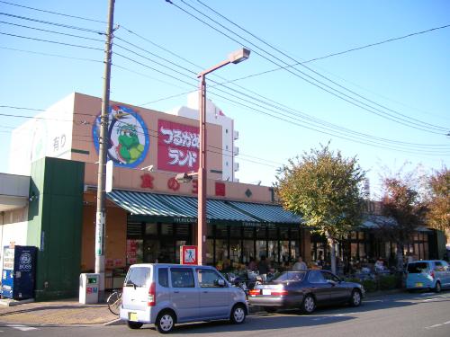 Supermarket. Tsurukame land Takashimadaira store up to (super) 1324m