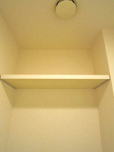 Toilet. Convenient shelf