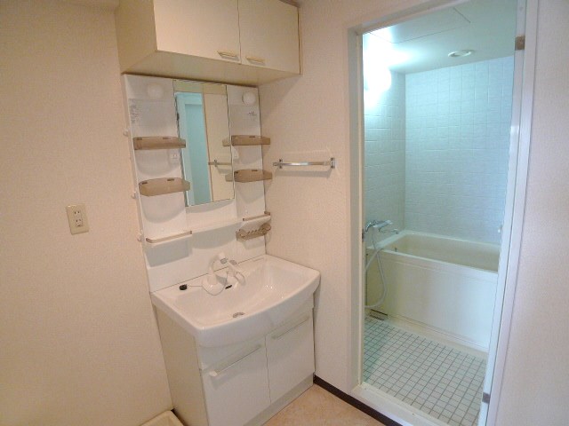 Washroom. Shampoo dresser will come in handy to get dressed in the morning