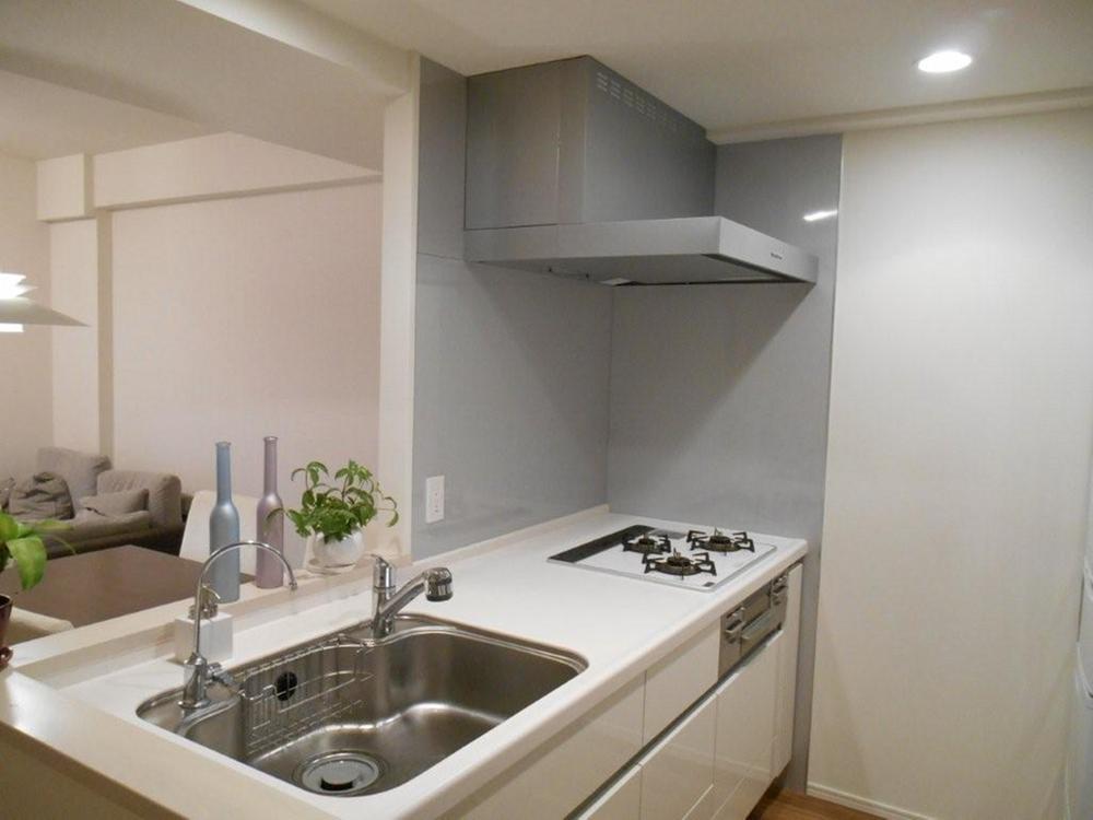 Kitchen. Indoor (12 May 2013) Shooting