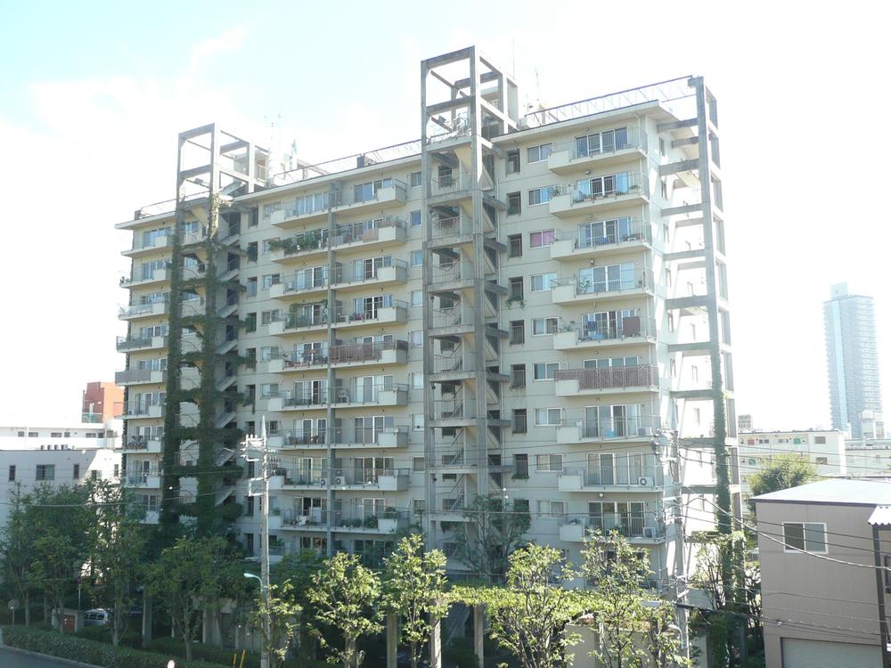 Local appearance photo. appearance