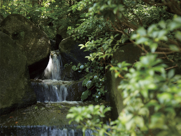 Surrounding environment. Izumi garden of Yakushi (about 540m / 7-minute walk)