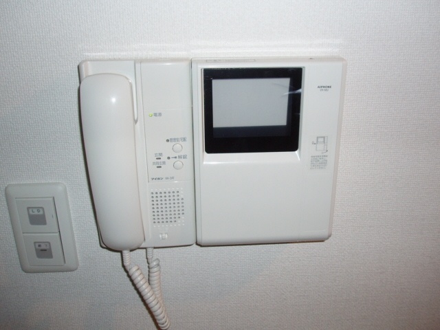 Security. Intercom with TV monitor