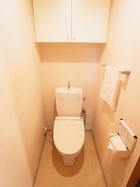 Toilet. Indoor (11 May 2013) Shooting