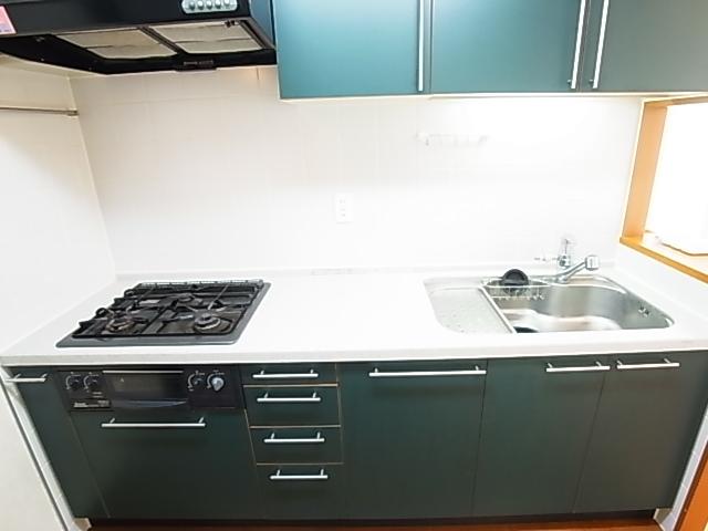 Kitchen. Indoor (11 May 2013) Shooting