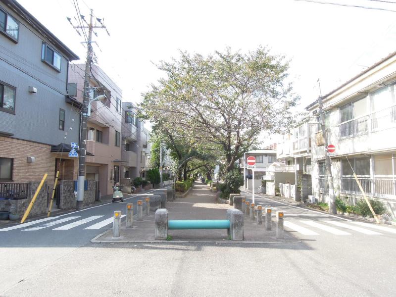 Other. The neighborhood is a quiet residential area. 