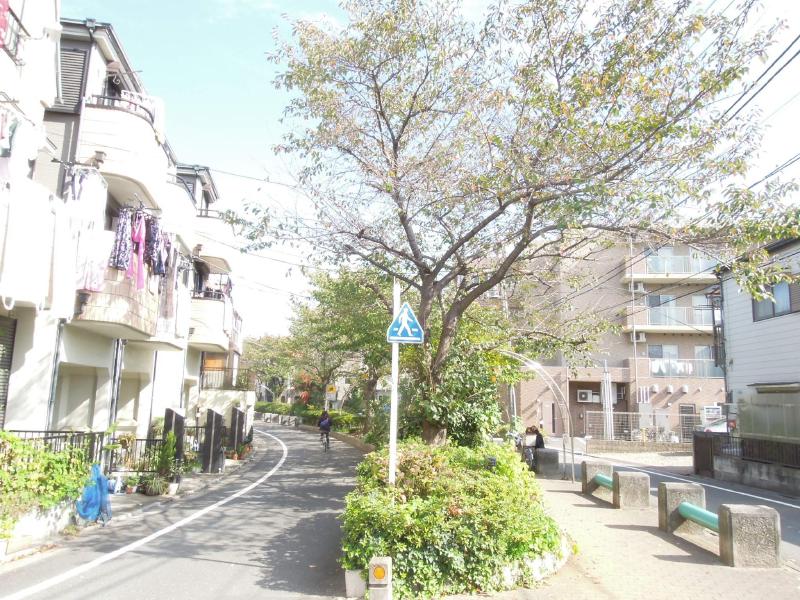 Other. It is a beautiful tree-lined street. 