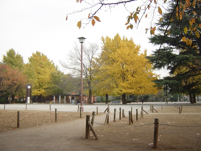 park. 555m until Itabashi Peace Park (Park)