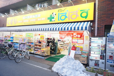 Dorakkusutoa. Drag Papas 106m until Itabashi Saiwaicho store (drugstore)