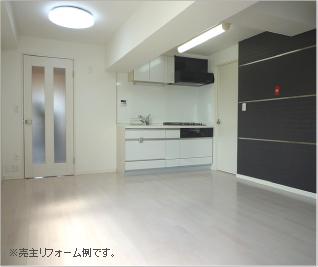 Same specifications photos (Other introspection). Seller of renovation construction example is the (image).