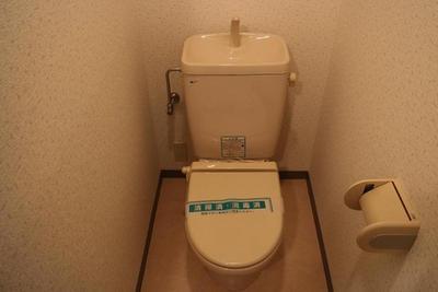 Toilet. Toilet