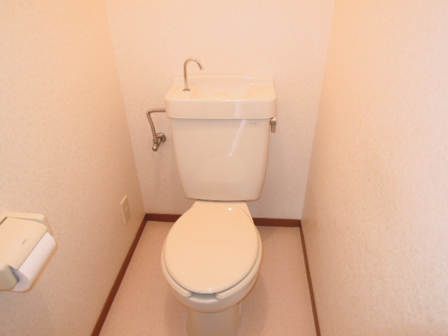 Toilet. (See photo)