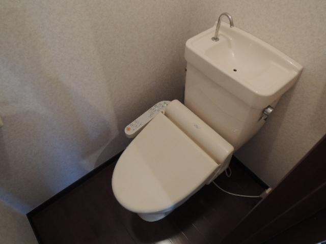 Toilet. Toilet