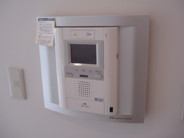 Security. Intercom with TV monitor