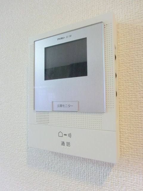 Security. TV monitor with intercom