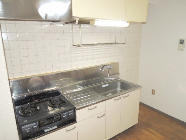 Kitchen. Two-burner stove grill