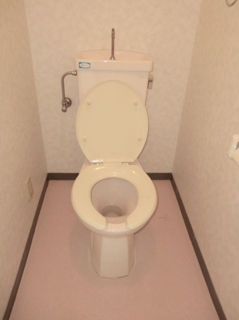 Toilet. It settles down toilet