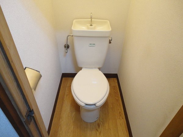 Toilet. Toilet