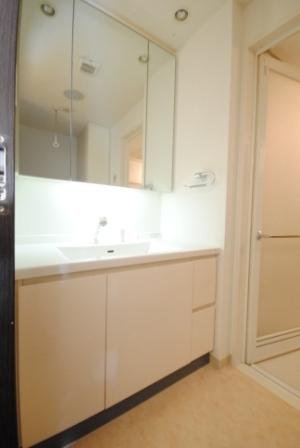 Wash basin, toilet. Indoor (11 May 2013) Shooting