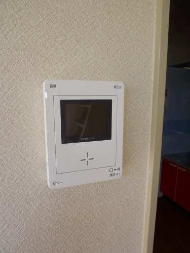 Security. Intercom with TV monitor