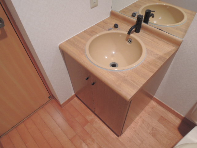 Washroom. Stylish wash basin