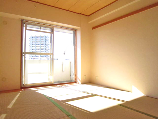 Living and room. Japanese-style room south