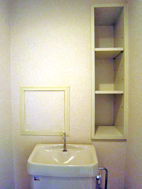 Toilet. Convenient shelf with