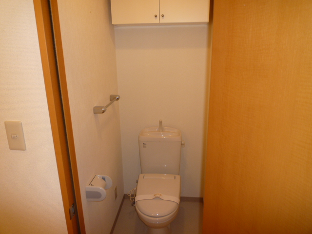 Toilet. Toilet with the upper storage shelves