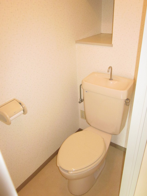 Toilet. There is a small shelf in toilet