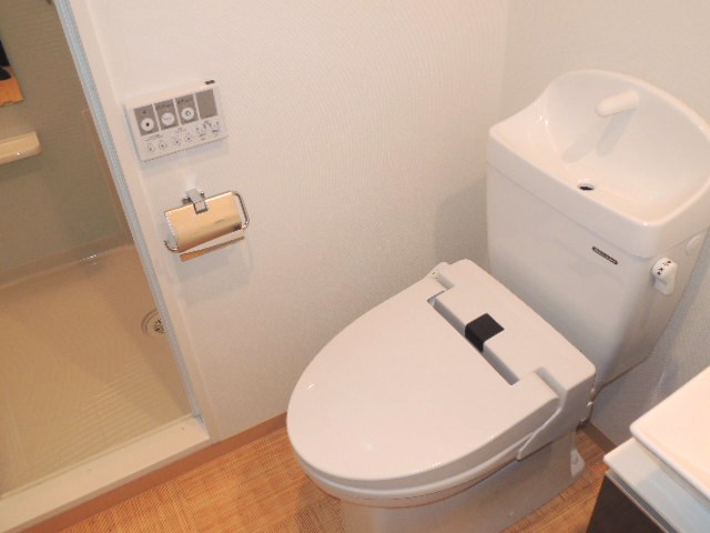 Toilet. With Washlet