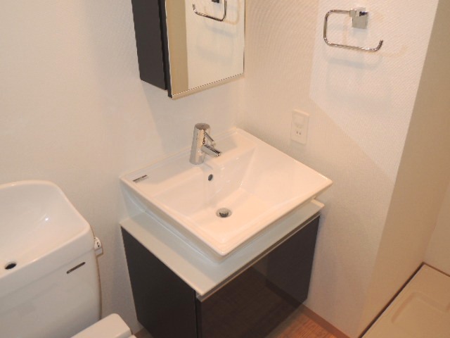 Washroom. Stylish independent wash basin