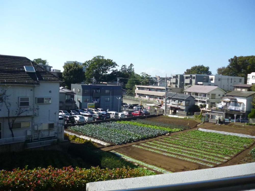 View photos from the dwelling unit. The view from the balcony Wider countryside