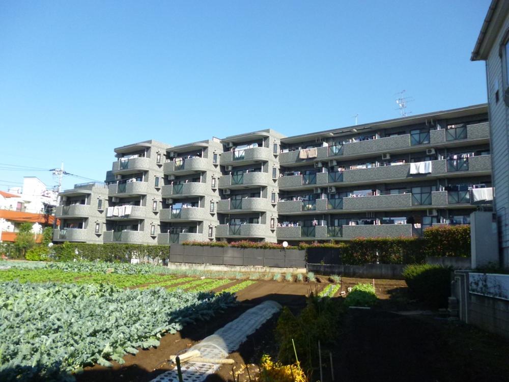 Local appearance photo. From south