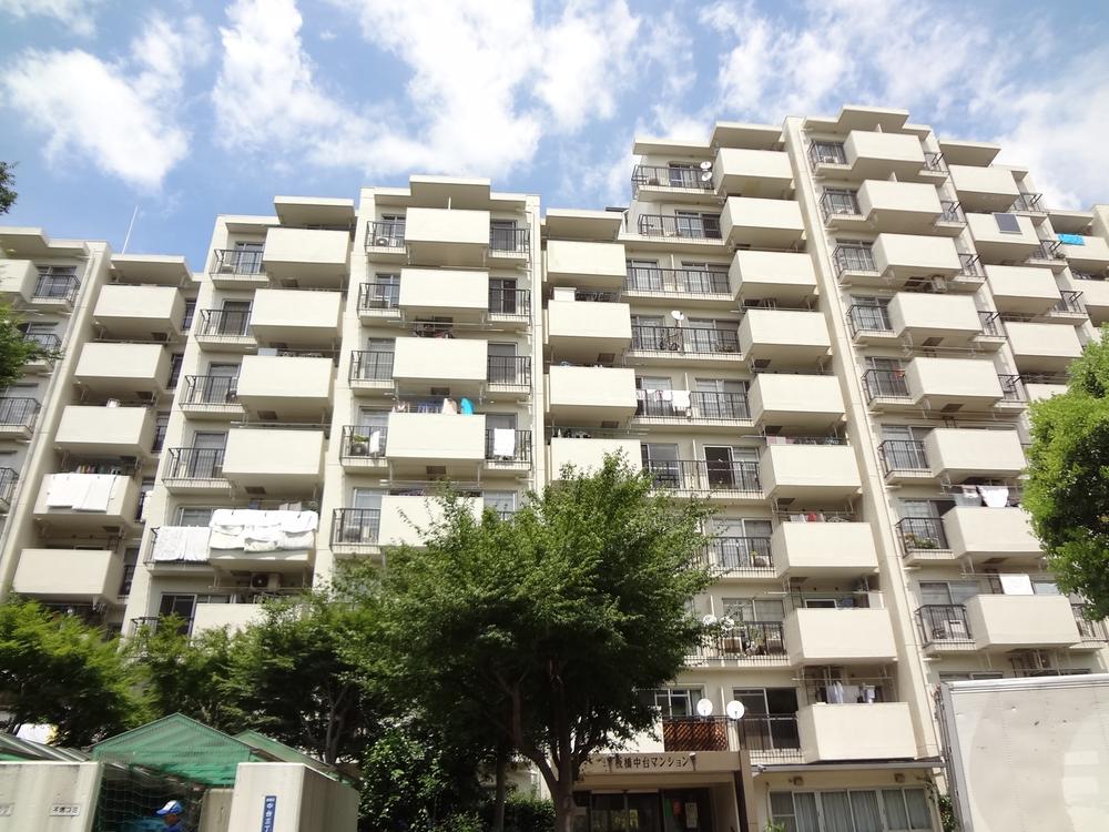 Local appearance photo. Local (August 2013) Shooting