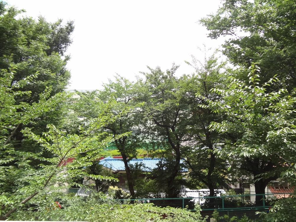 Balcony. Local (August 2013) Shooting