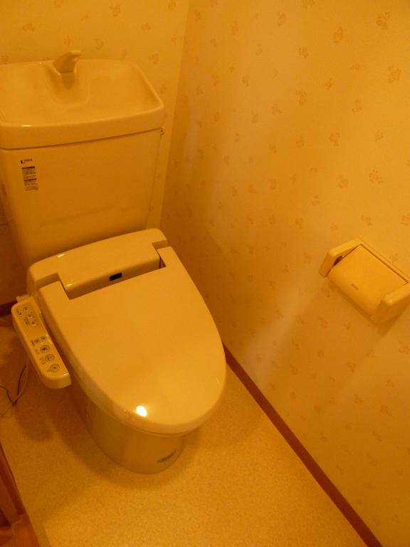 Toilet. Washlet toilet