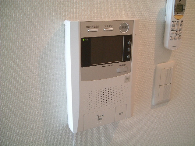 Security. Intercom with TV monitor