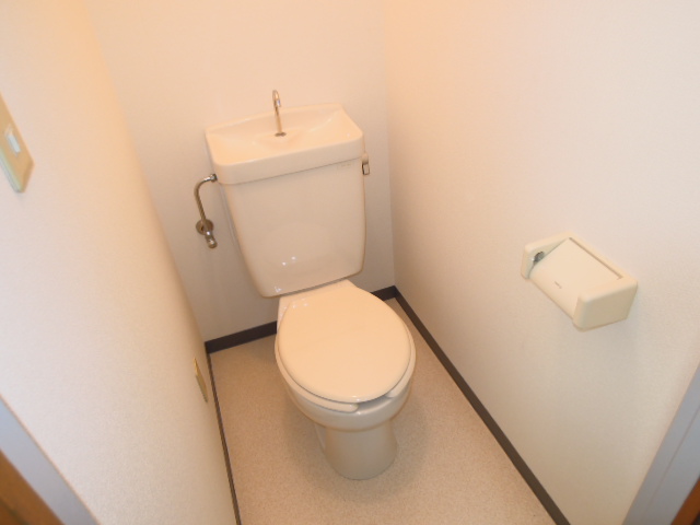 Toilet. (See photo)