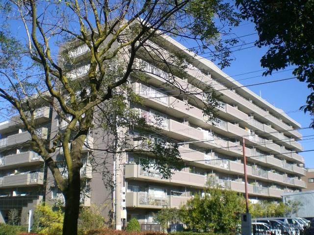 Local appearance photo. Local (11 May 2013) Shooting