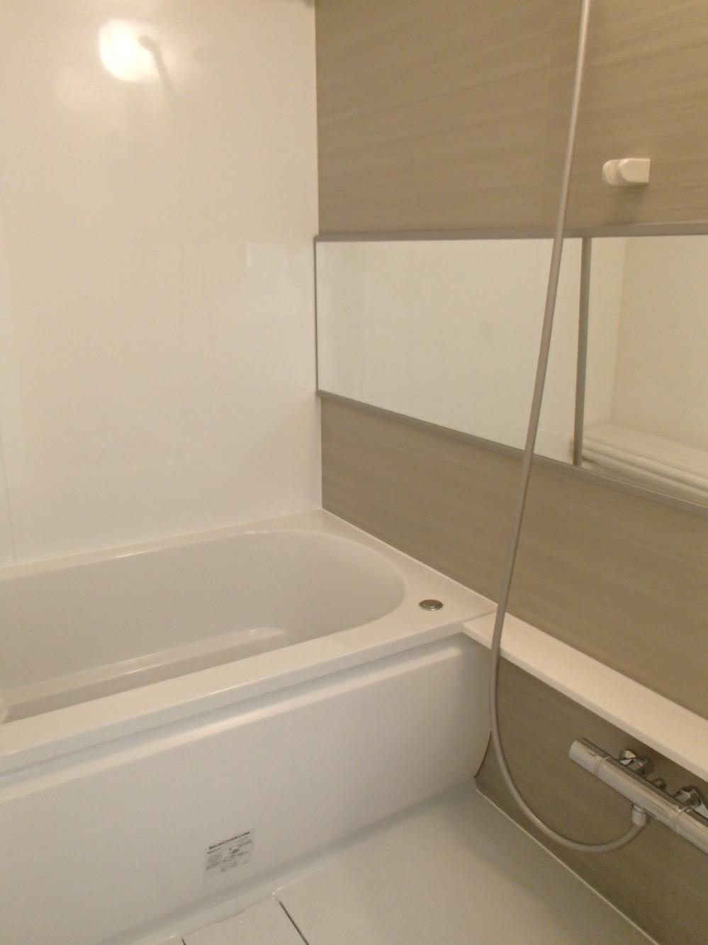 Bathroom. Indoor (12 May 2013) Shooting