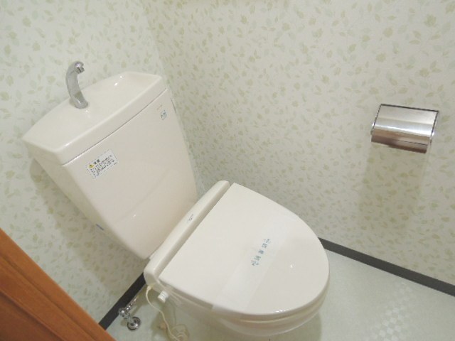 Toilet. Toilet heating toilet seat