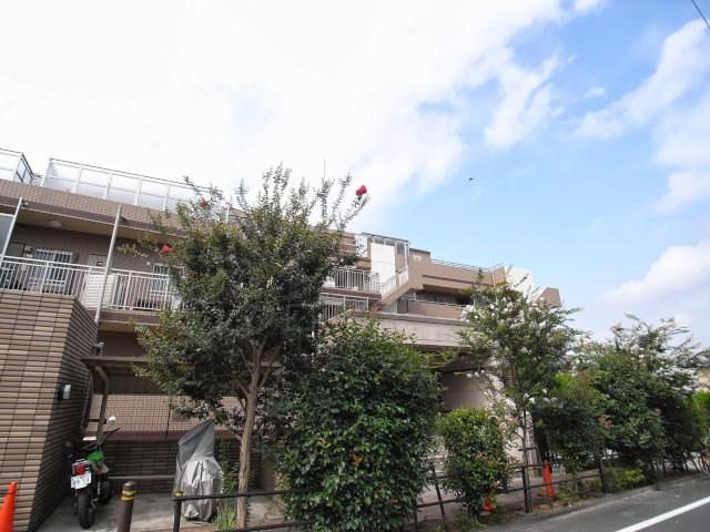 Local appearance photo